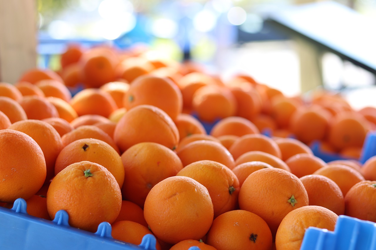 oranges  fruit  produce free photo