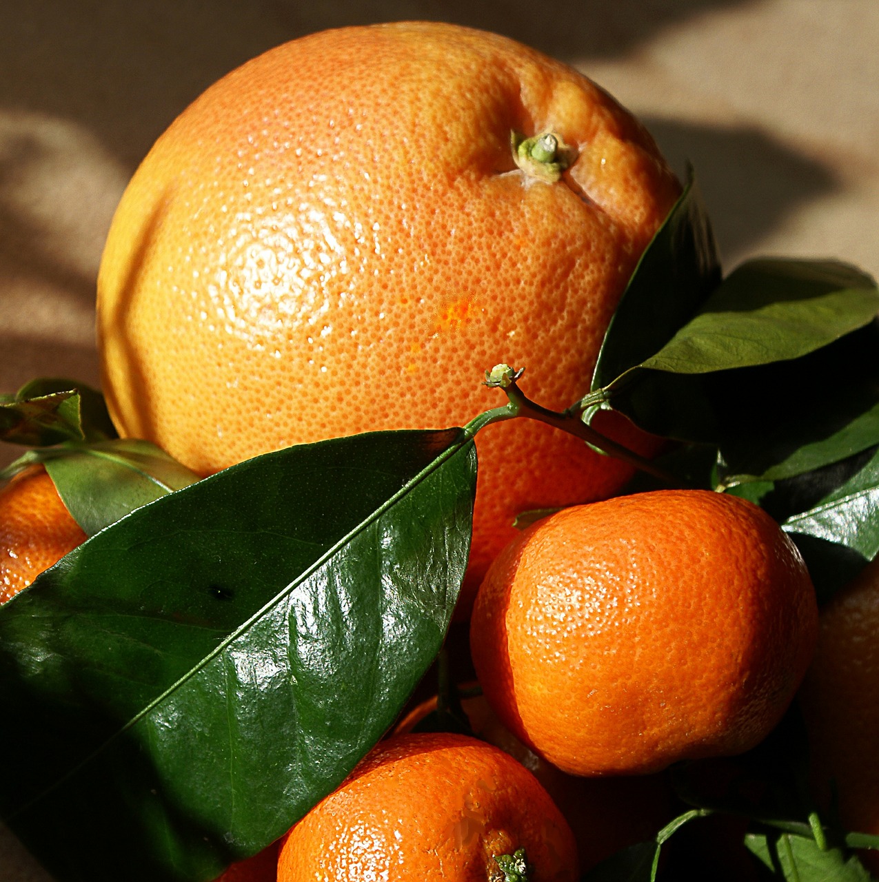 oranges mandarins southern fruits free photo