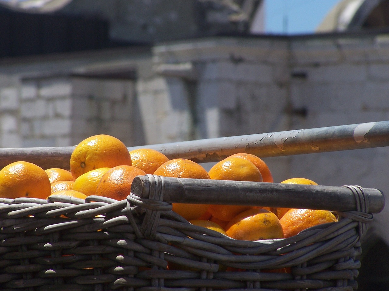 oranges fruit afternoon free photo