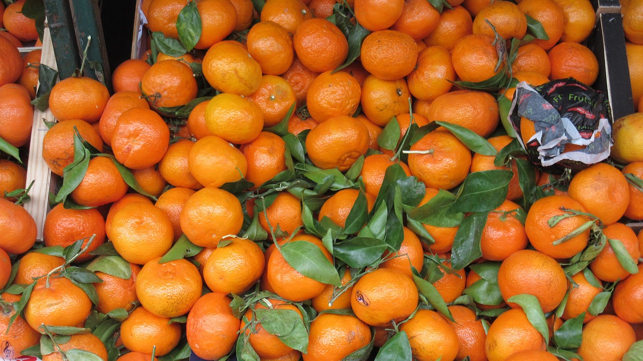 oranges fruits leaves free photo