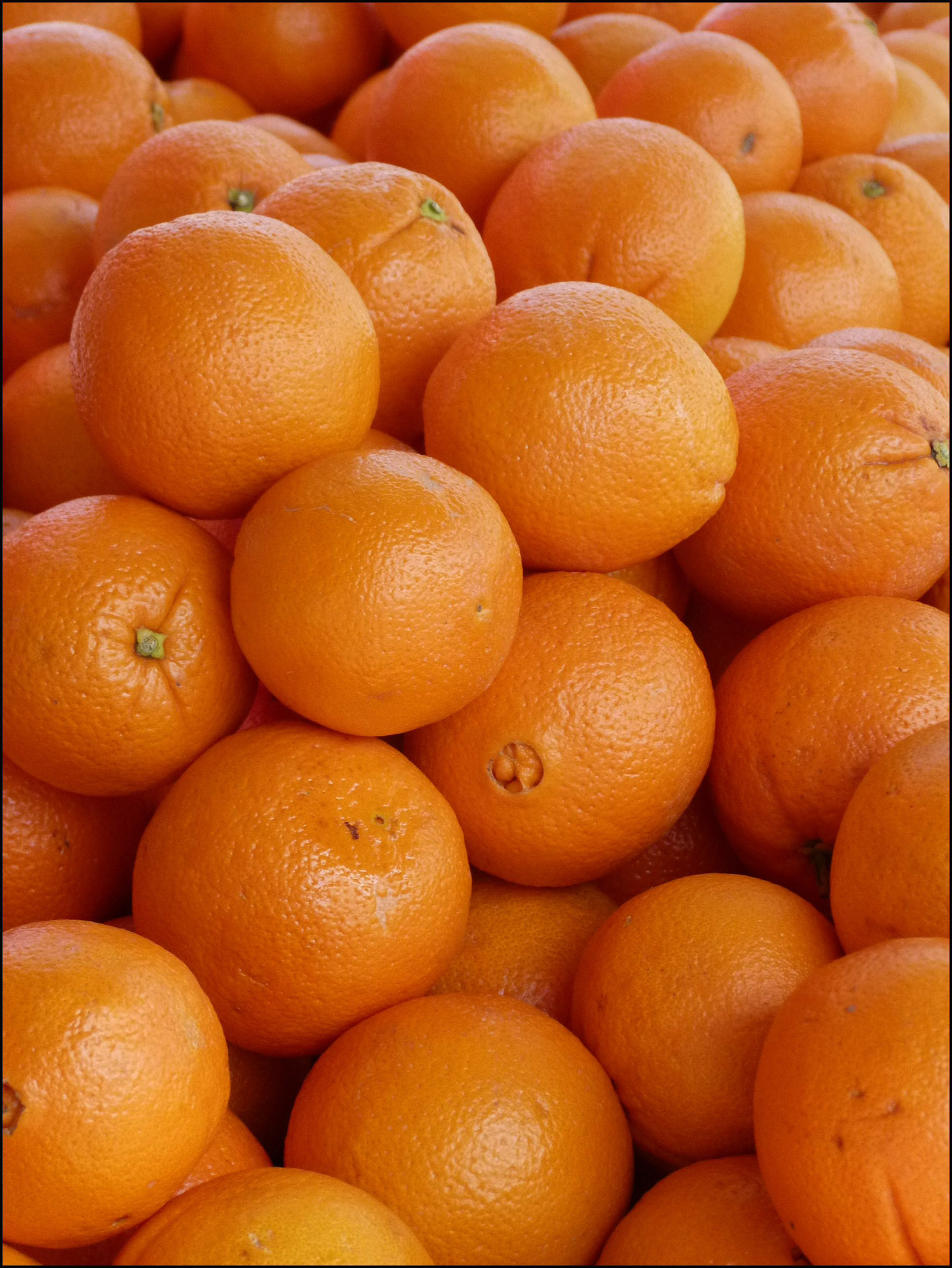 orange background fruit free photo