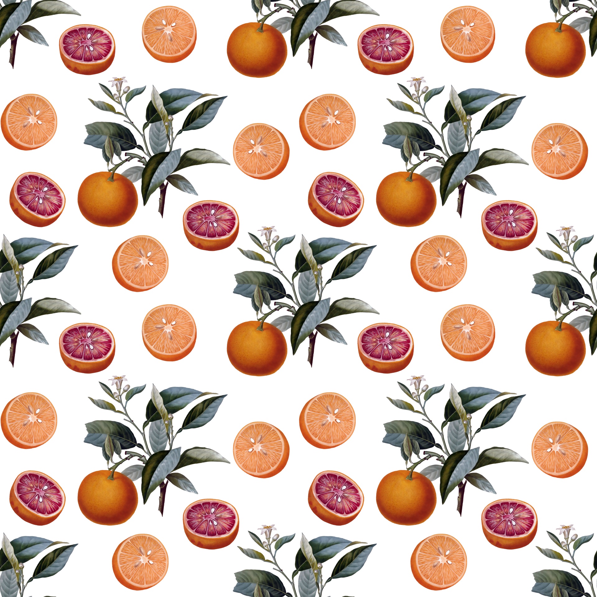 orange oranges fruit free photo