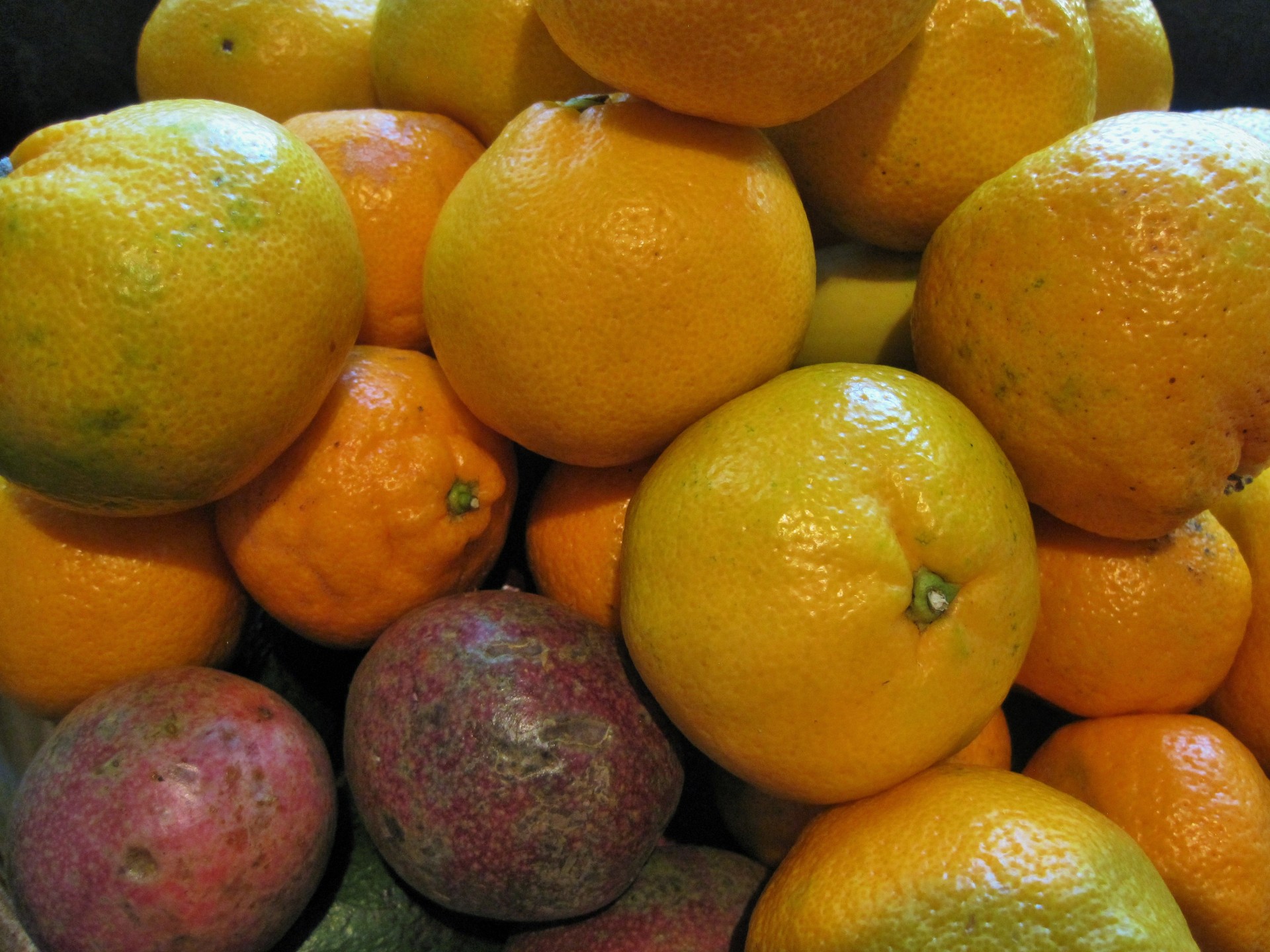 fruit citrus oranges free photo