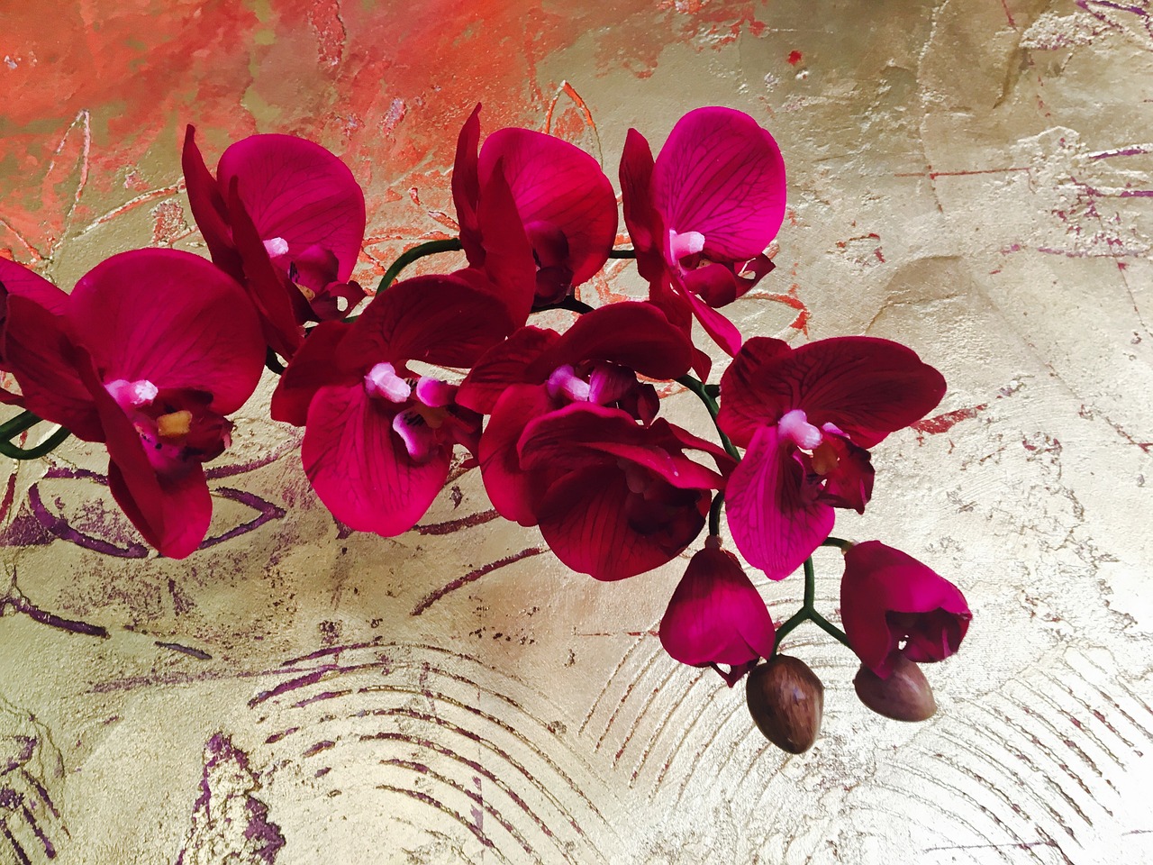 orchid flower gold wall free photo