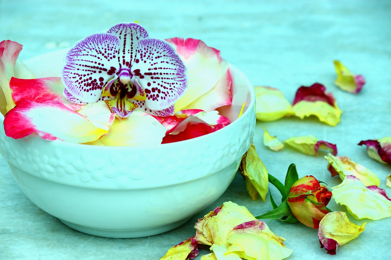orchid rose petals rose plate free photo