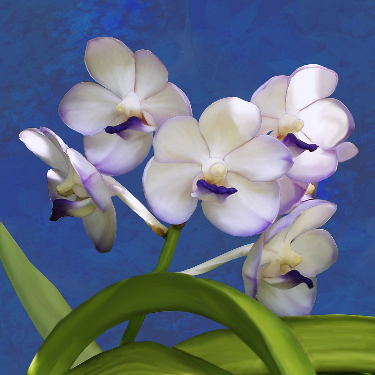 orchid ascocenda plant free photo