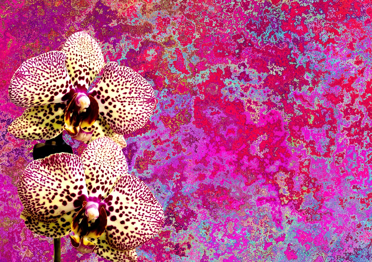 orchids flower nature free photo