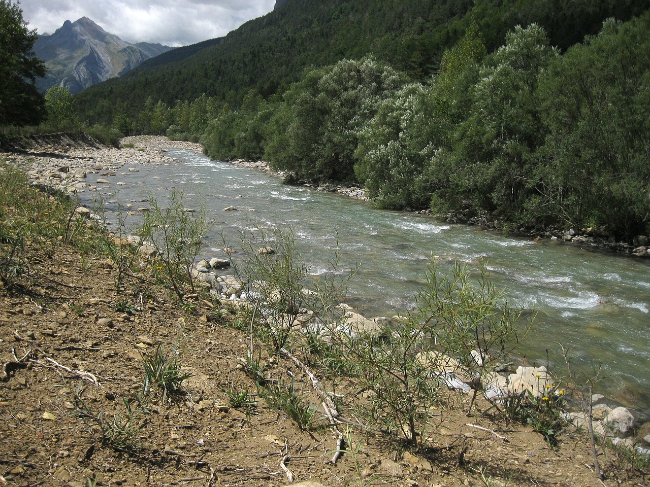 ordesa river water free photo