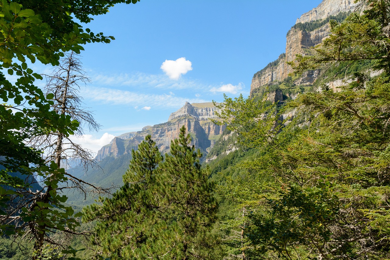 ordesa valley pyrenees huesca free photo