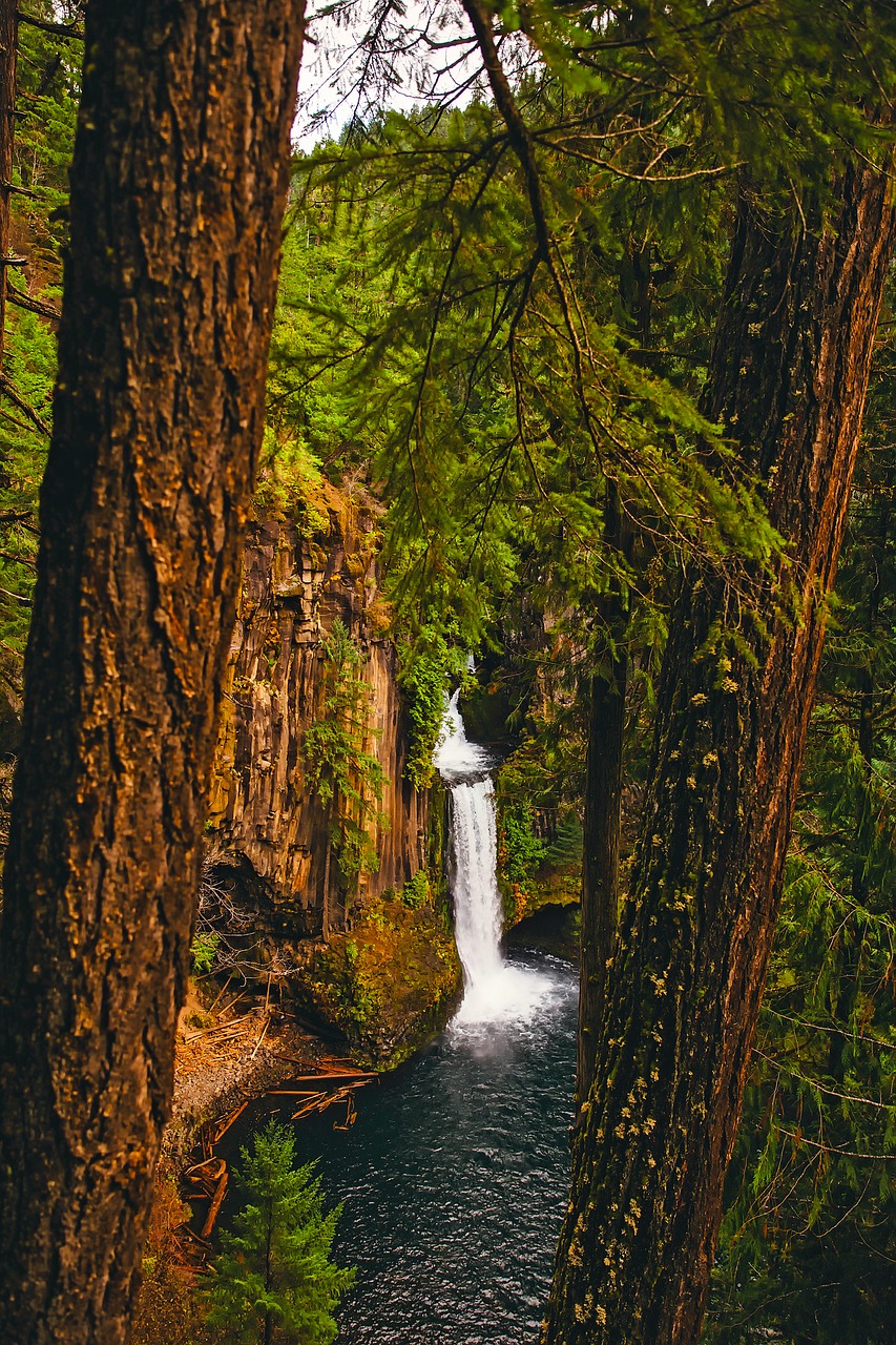 oregon mountains waterfall free photo