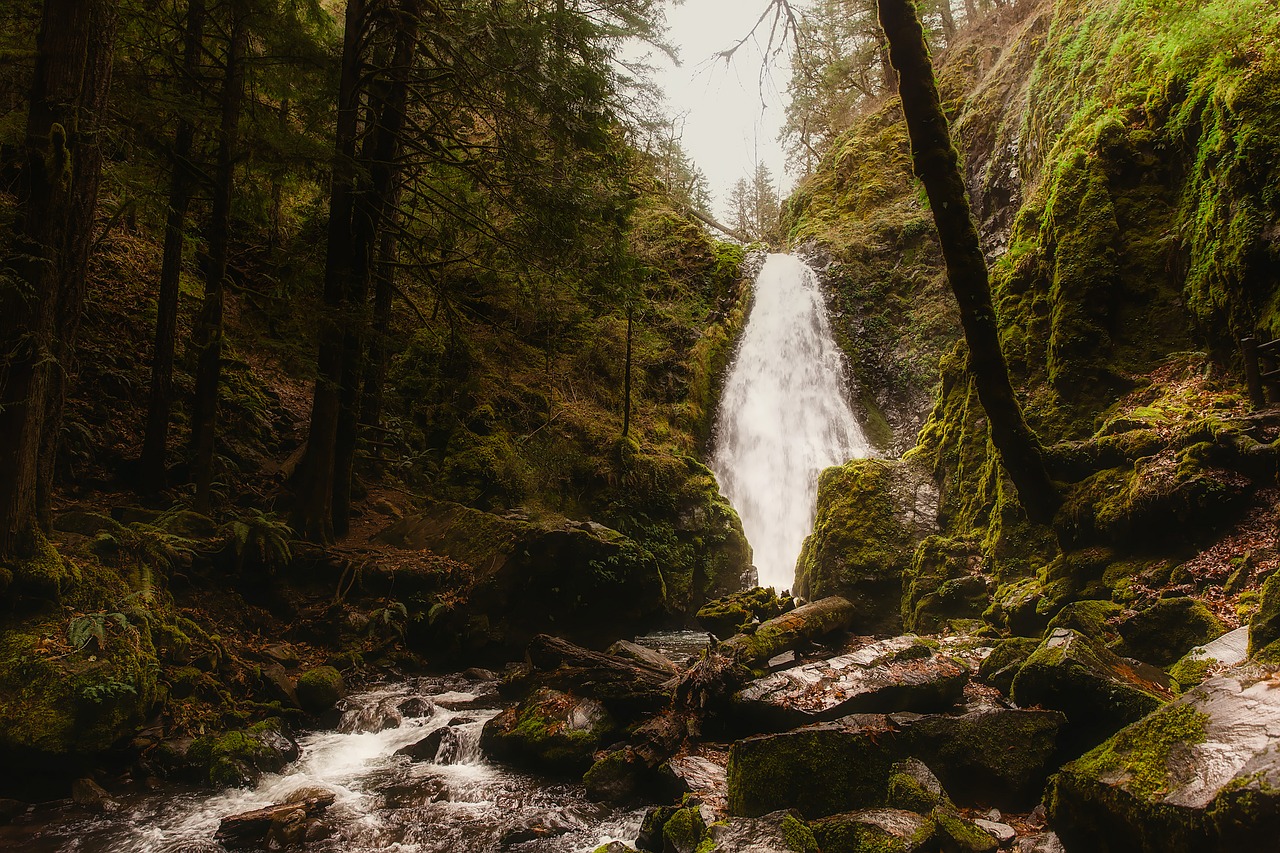 oregon landscape waterfall free photo