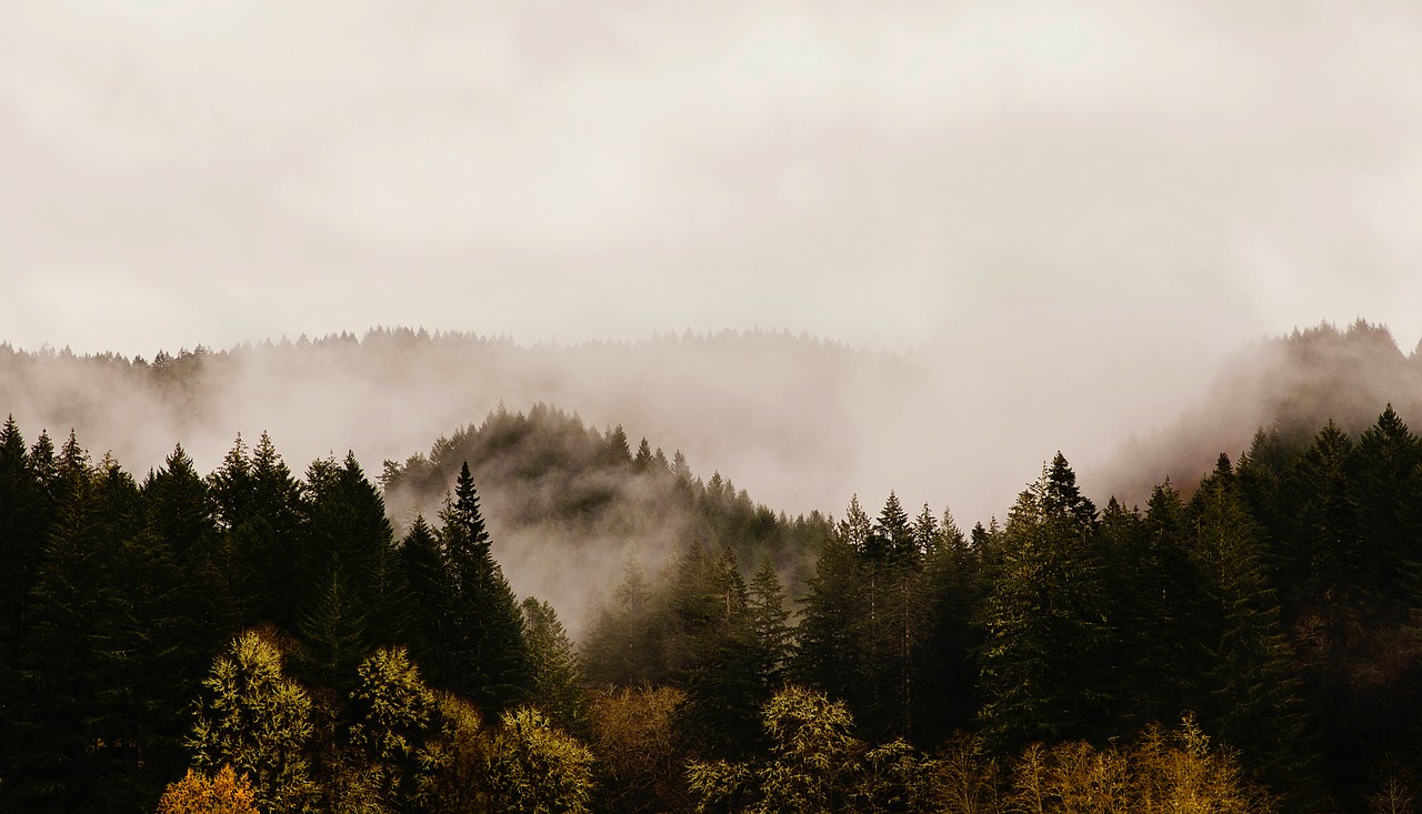 oregon mountains sunrise free photo