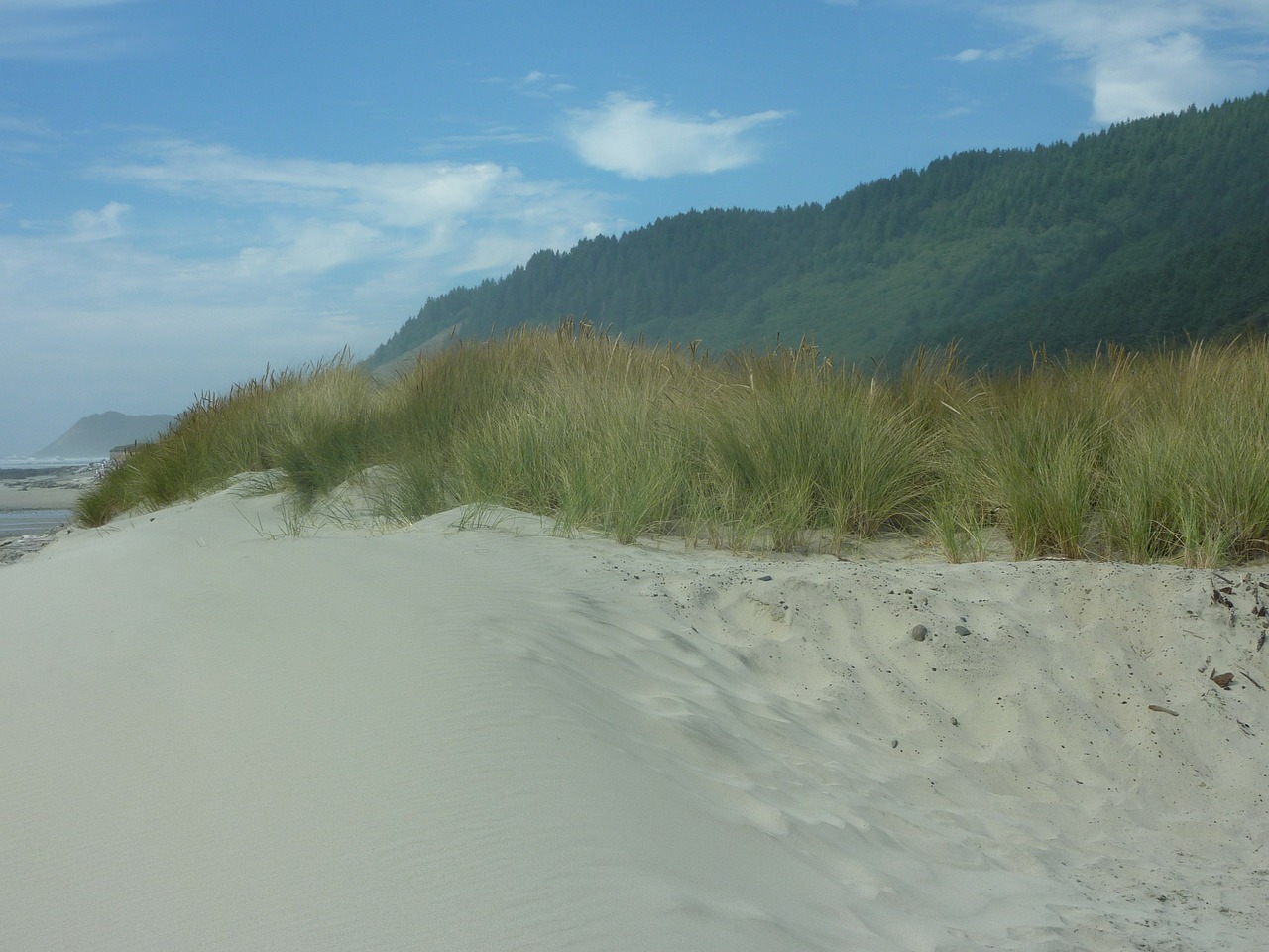 oregon dune sand free photo