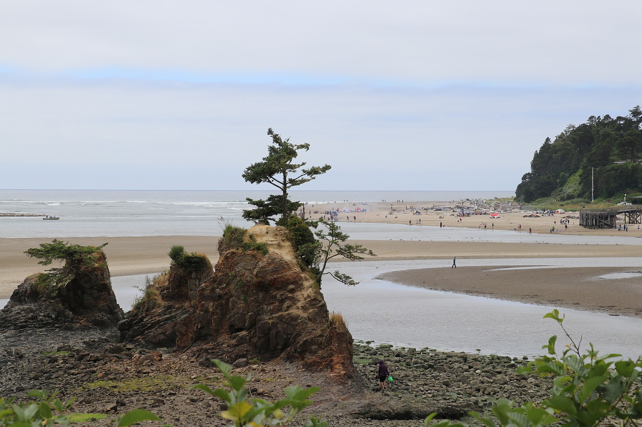 oregon oregon coast beach free photo