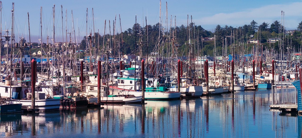 oregon coast newport free photo