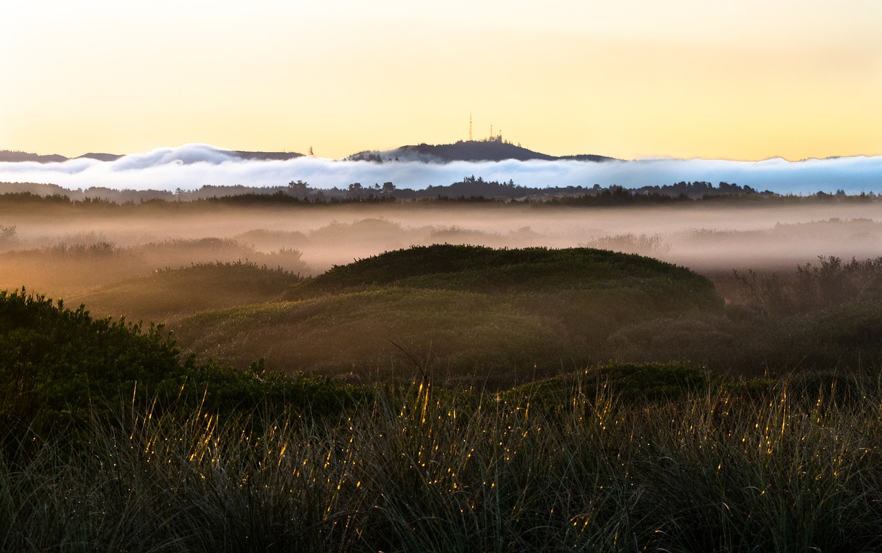 oregon sand dunes free photo