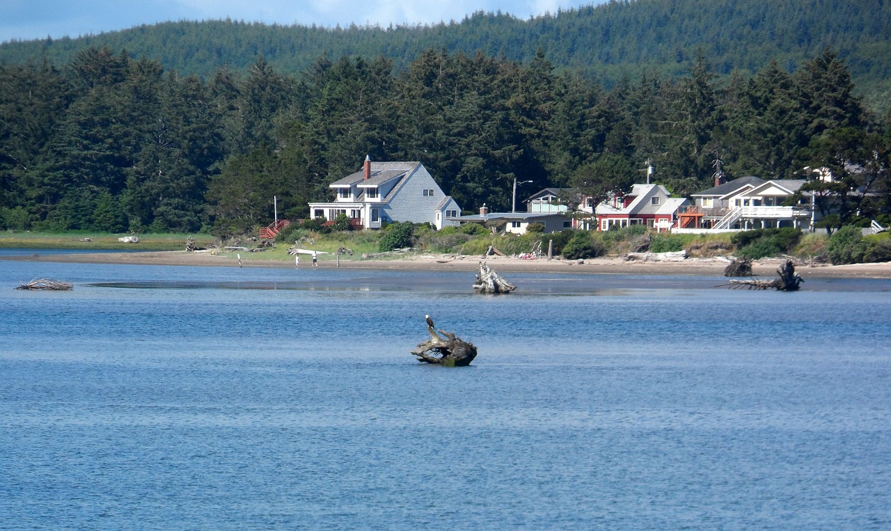 oregon shoreline bay free photo