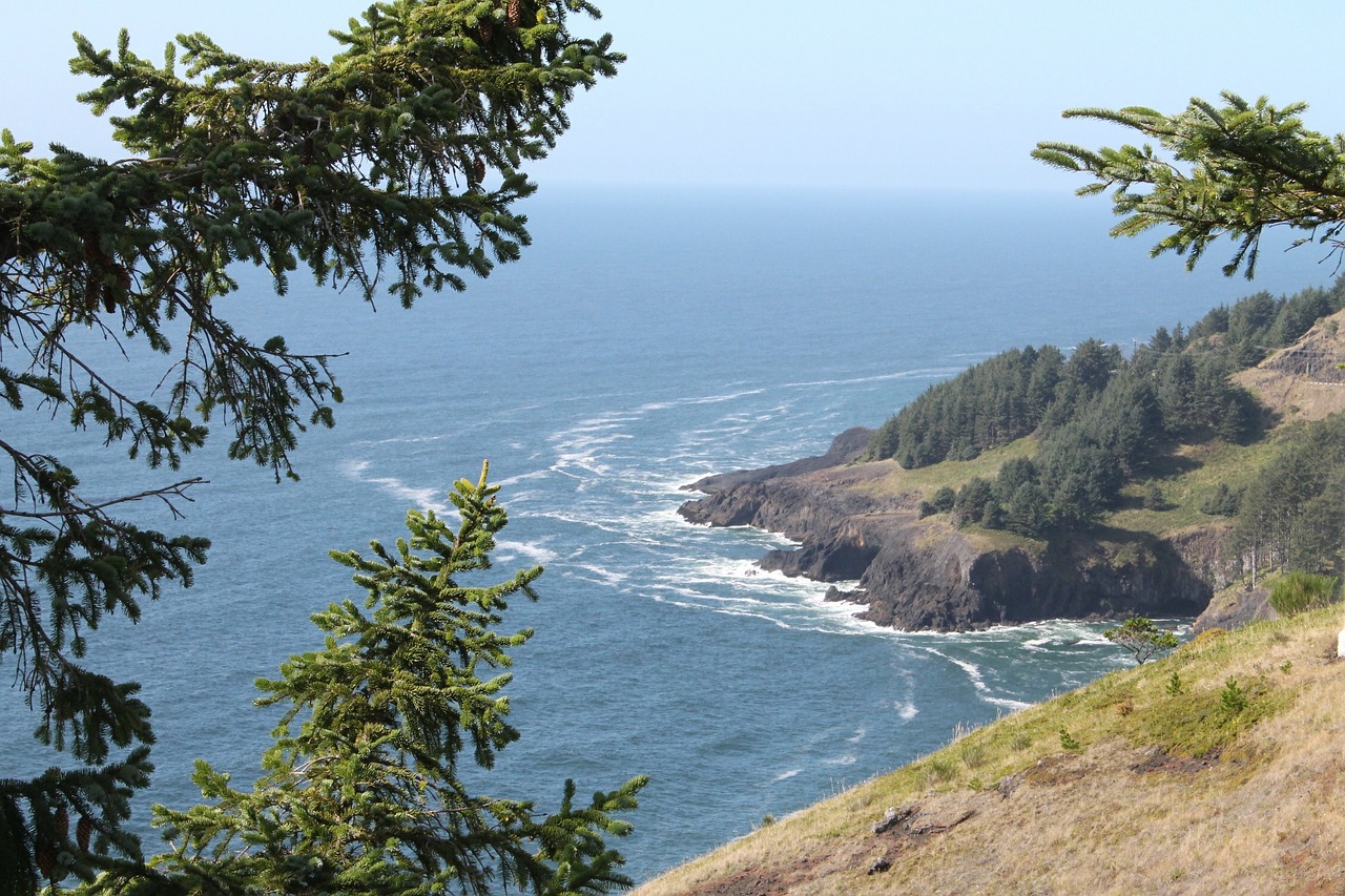 oregon coast landscape free photo