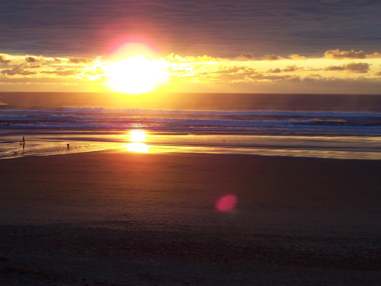 oregon coast sunset ocean free photo