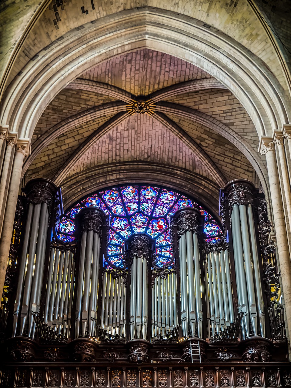 organ paris cathedral free photo