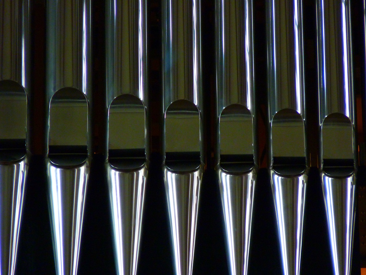 organ organ whistle music free photo