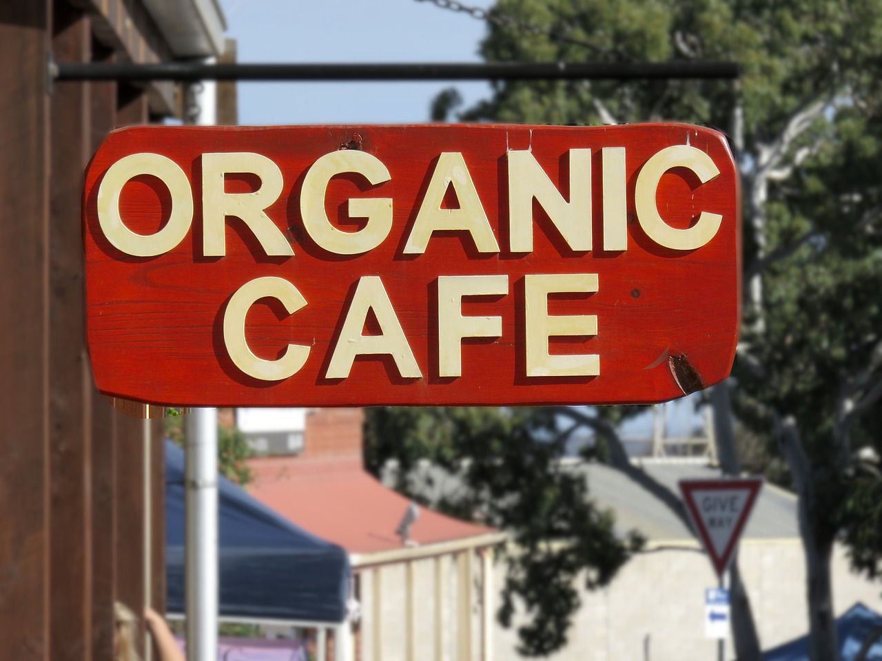 organic  cafe  restaurant free photo