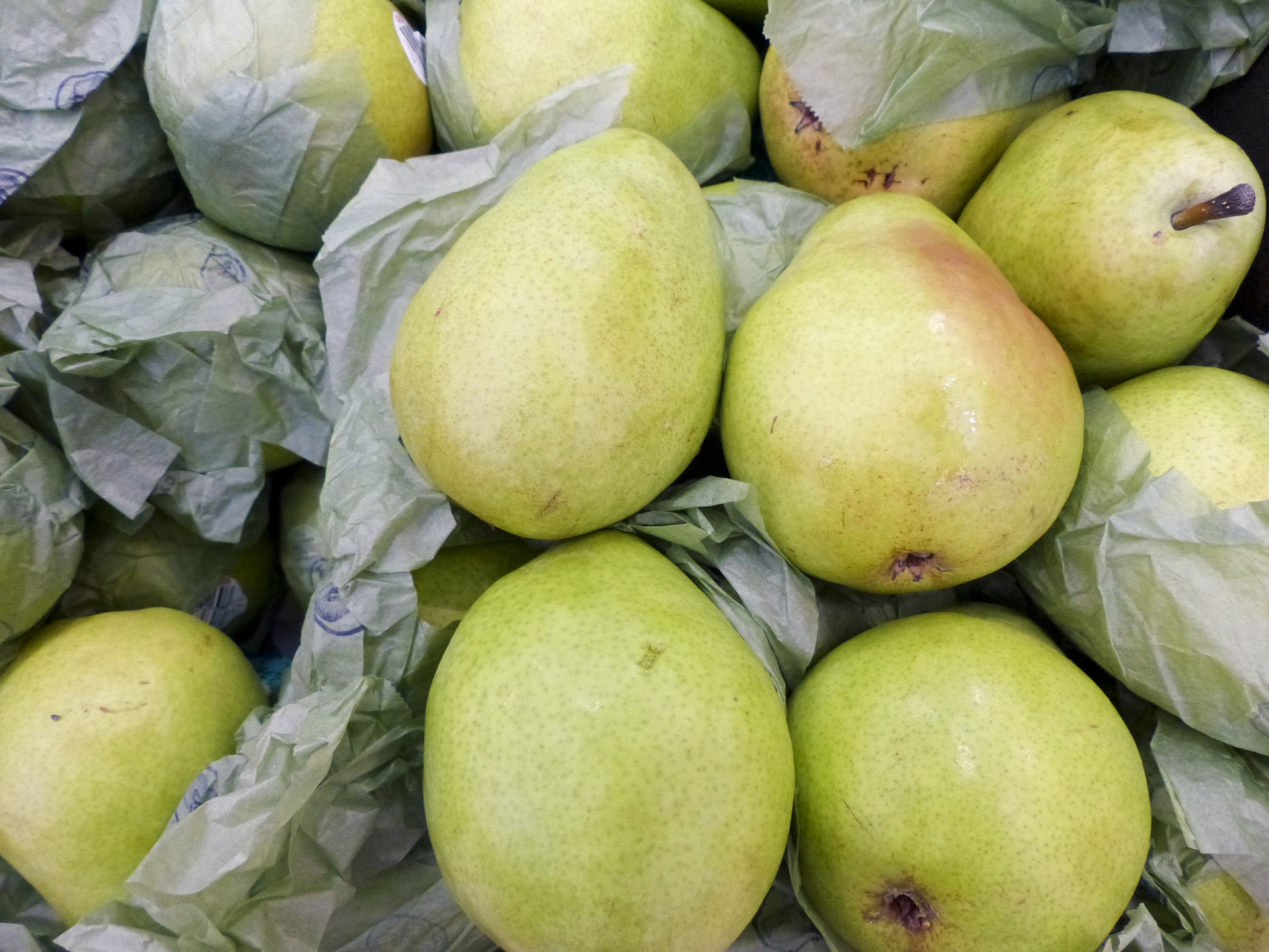 pears organic fruit free photo