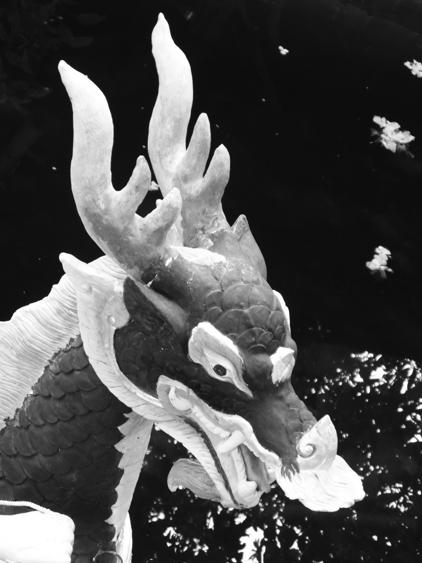 chinese dragon oriental free photo