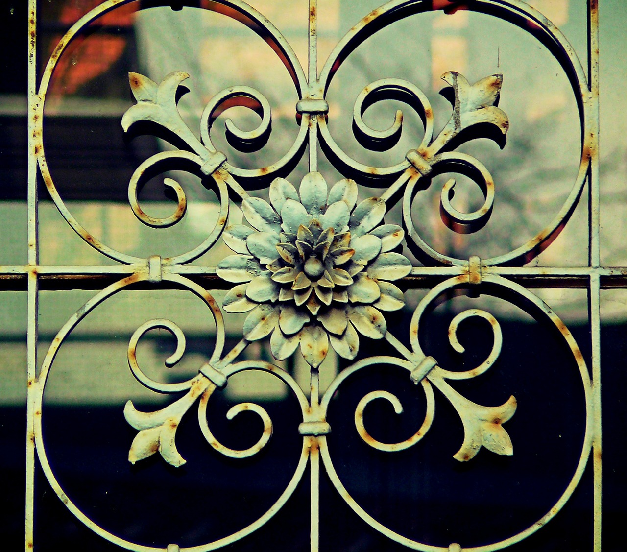 ornament rosette fence free photo