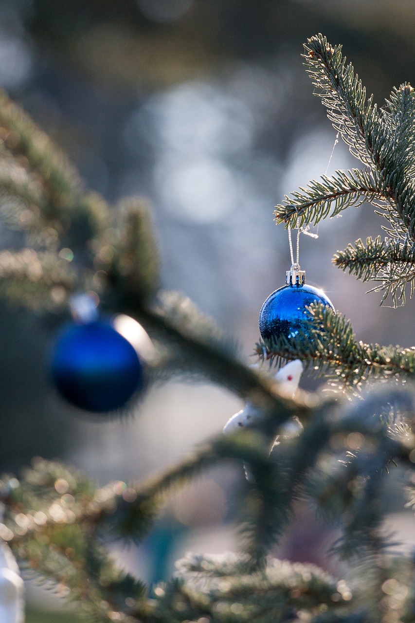 ornament  christmas  ornamentation free photo