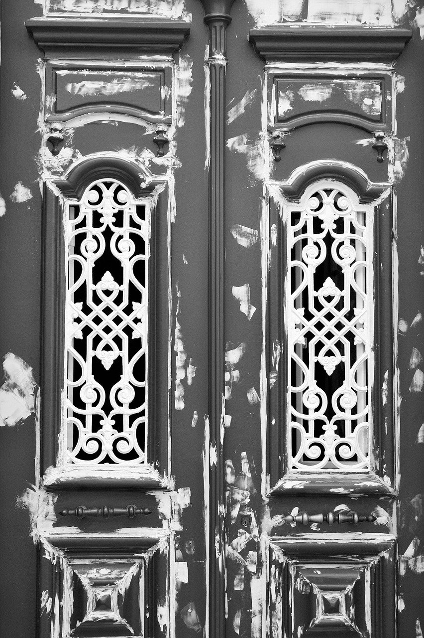 ornate architecture door free photo