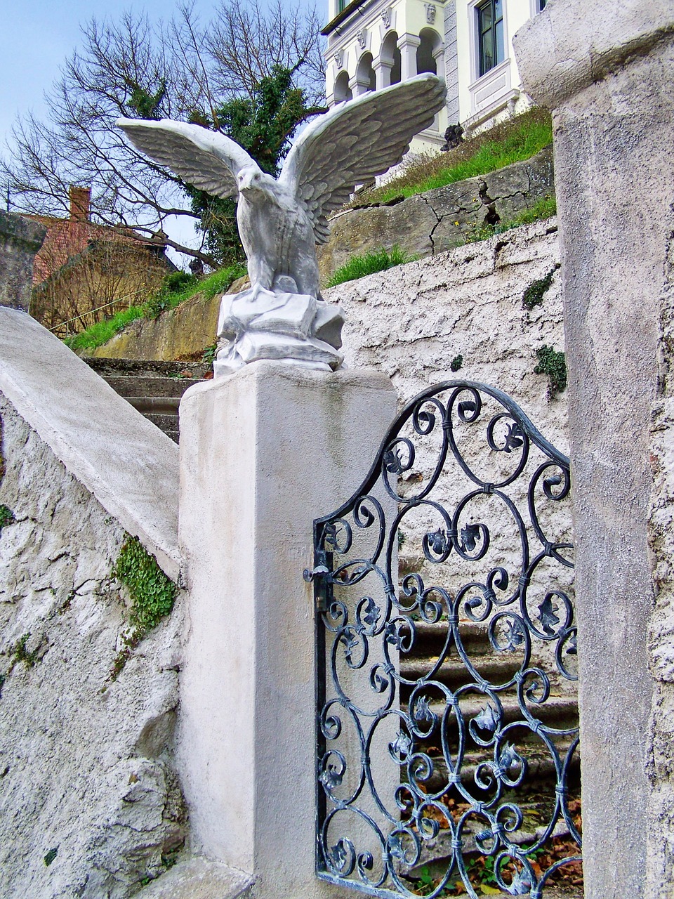ornate gate wrought iron gate architecture free photo