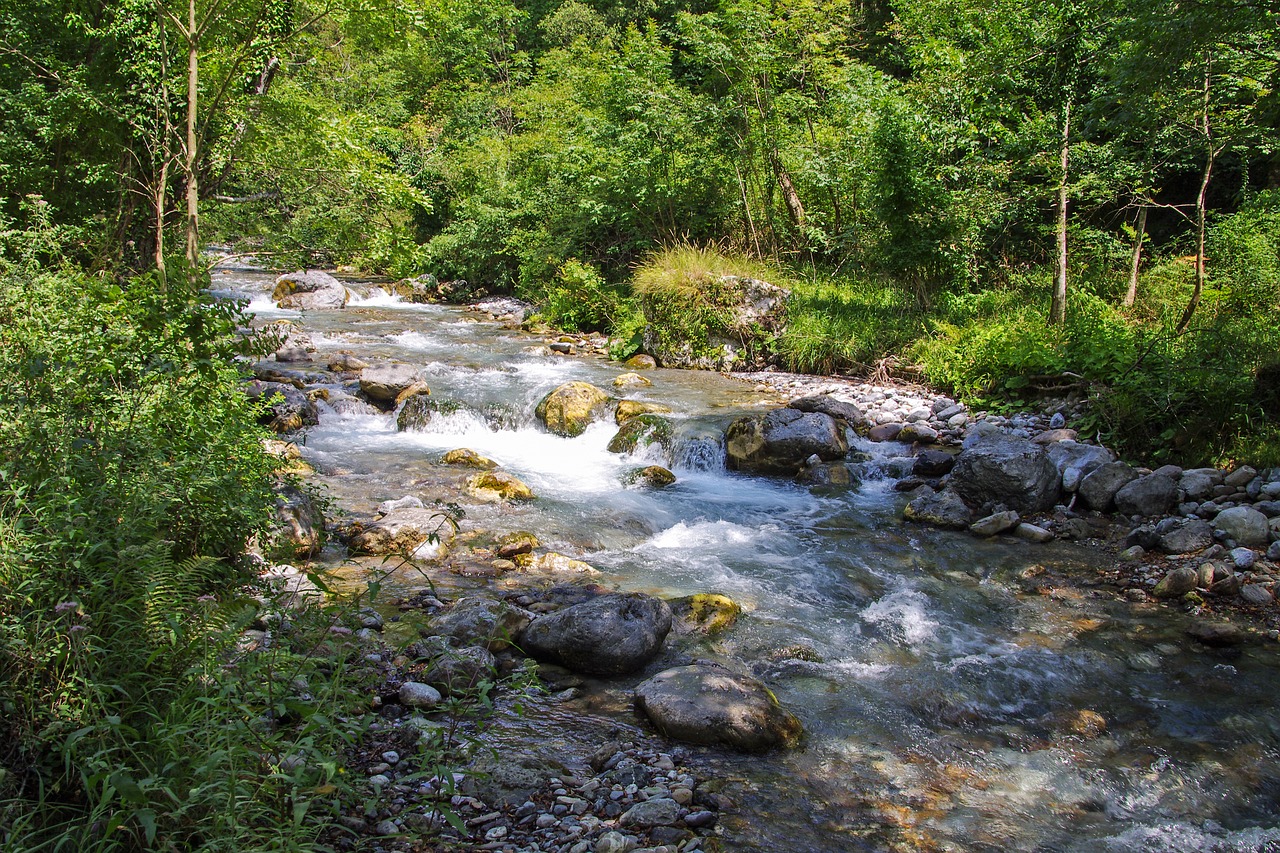 orsomarso calabria torrent free photo