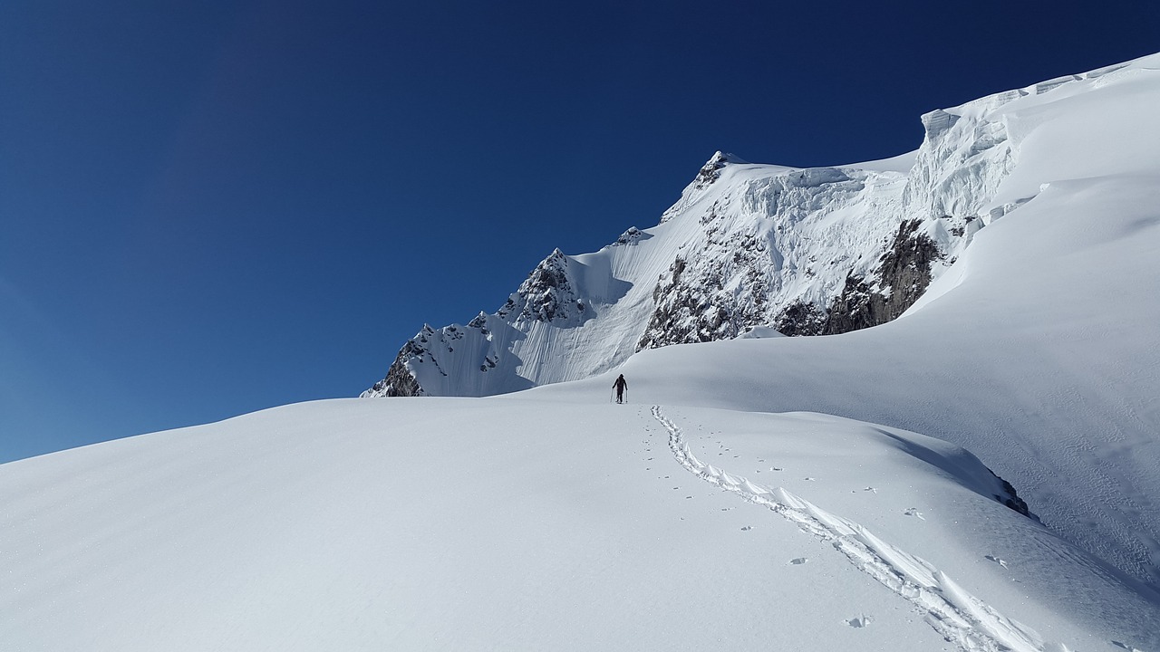 ortler backcountry skiiing alpine free photo