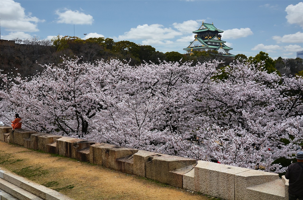 osaka osaka castle castle free photo