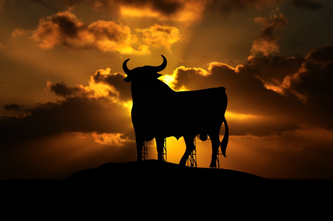 osborne bull spain free photo