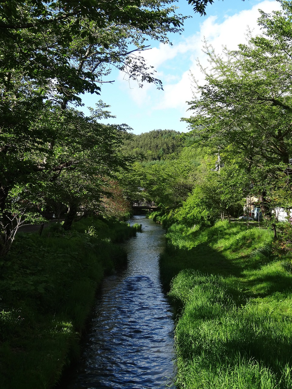 oshino hakkai river clear stream free photo