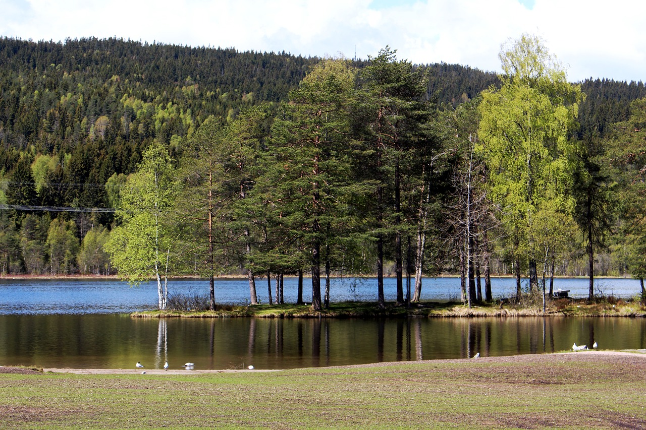 oslo sognsvann nordmarka free photo