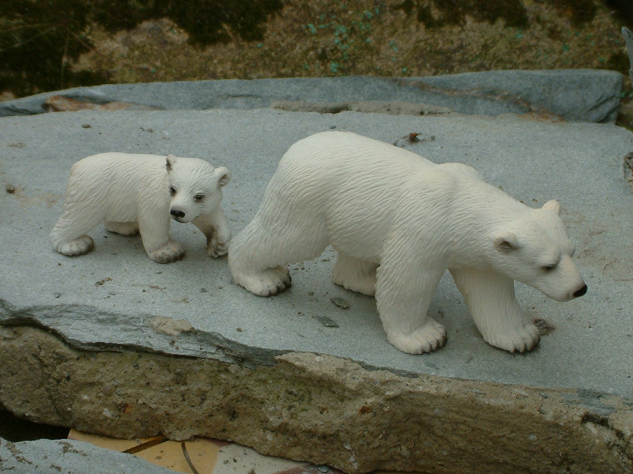 oso bear miniature free photo