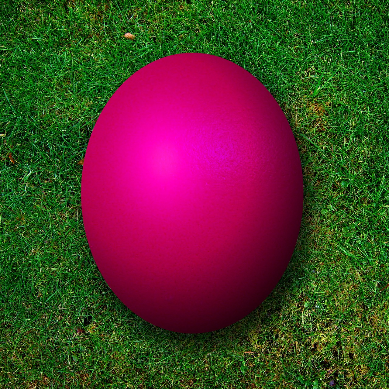 osterrn egg purple free photo