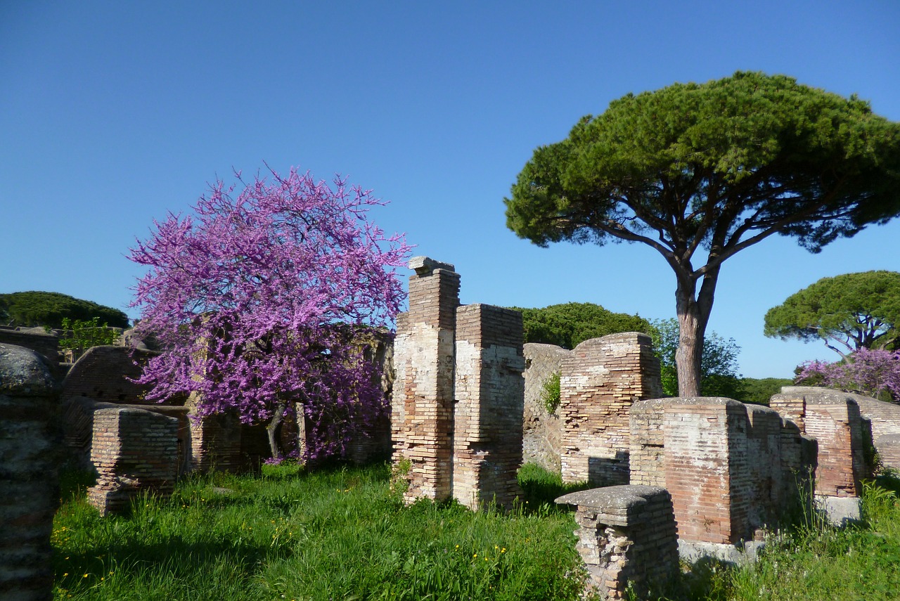 ostia antica italy ruins free photo