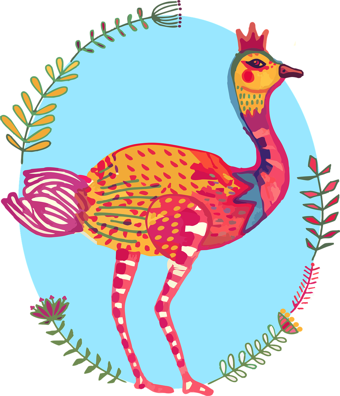 ostrich  bird  colourful free photo