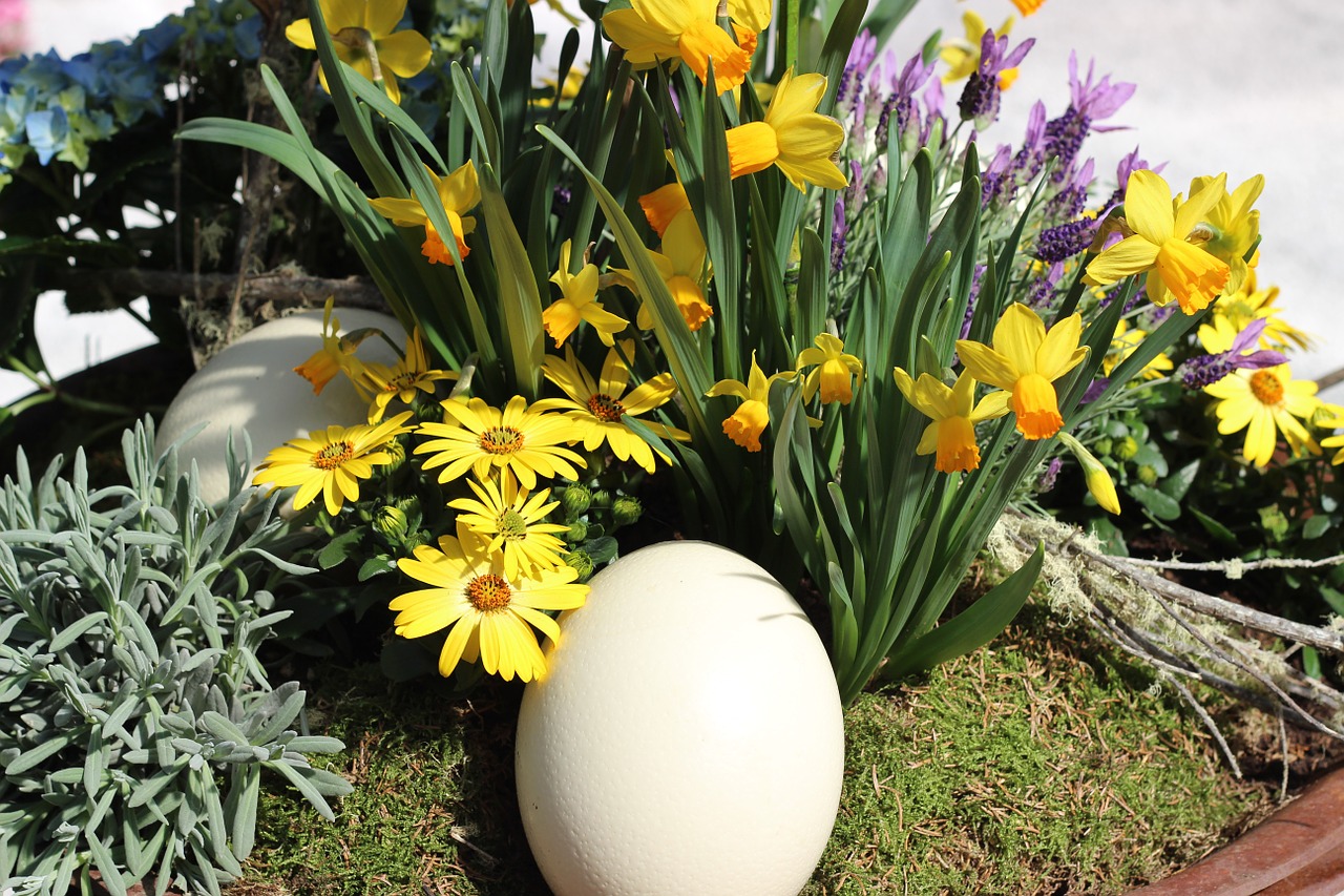 ostrich egg cream colors spring free photo