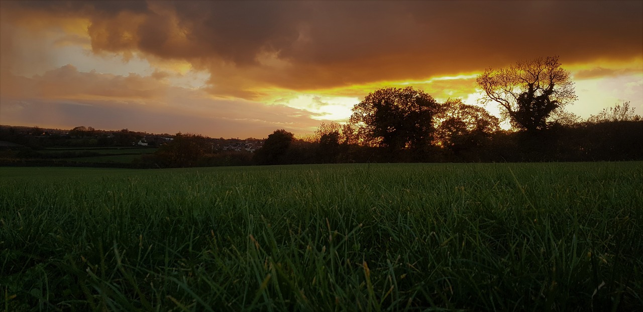 our dream location  sunset  yellow evening free photo