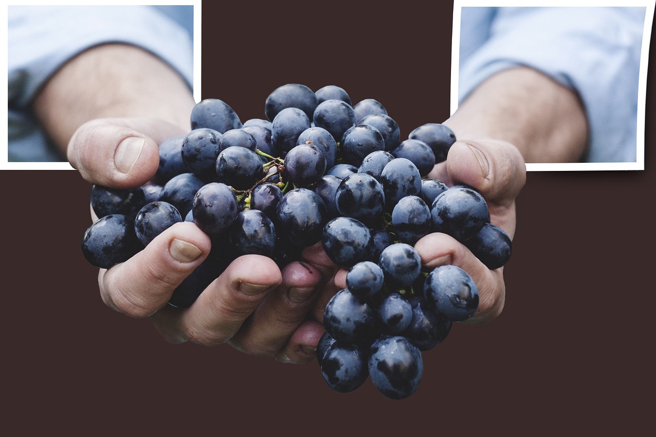 out of bound grapes fruits free photo