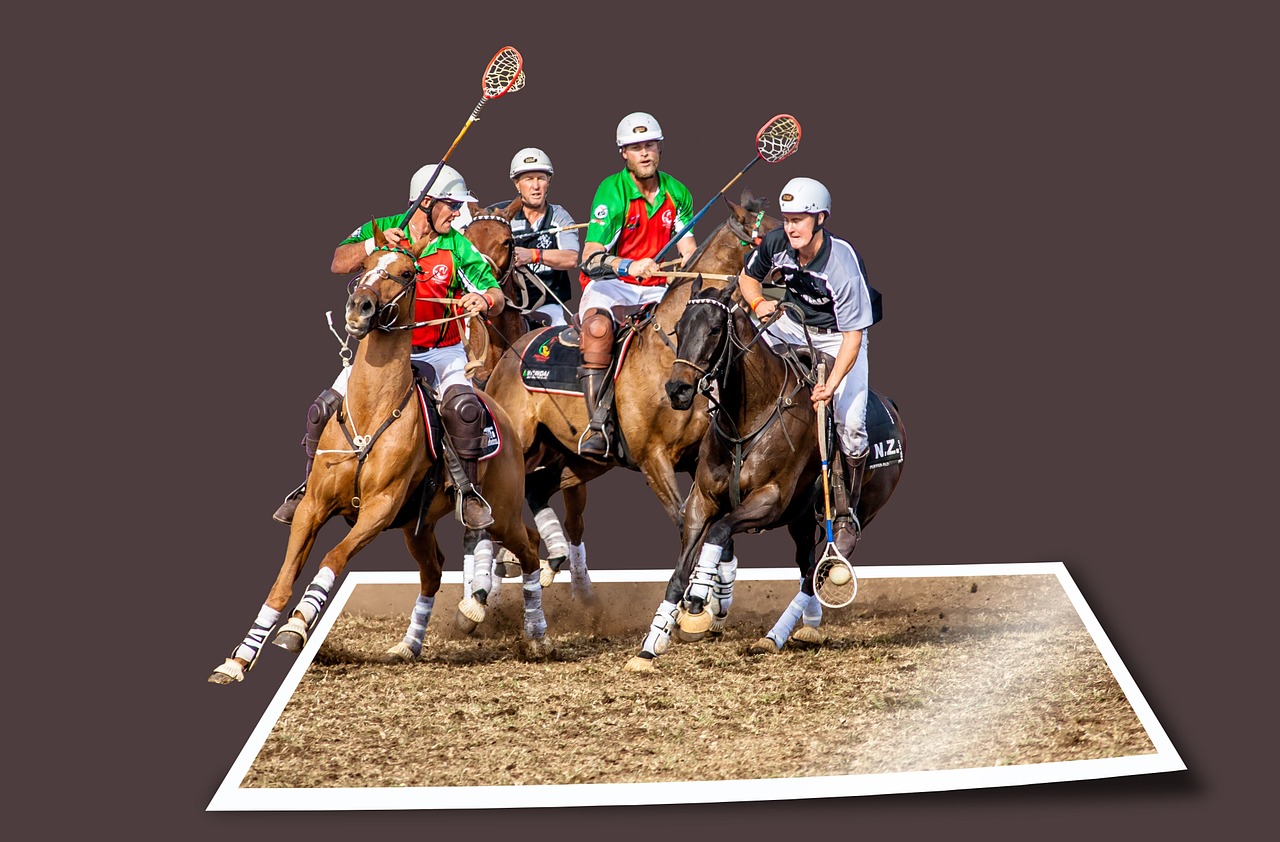 image editing sport equestrian free photo