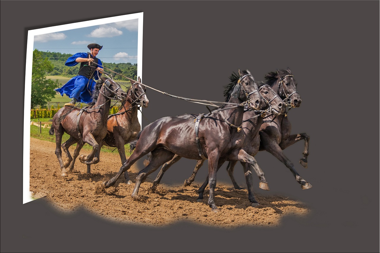 out of bounds image editing horses free photo