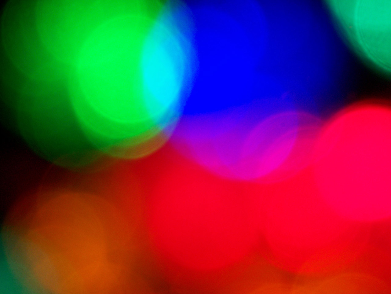 christmas lights focus free photo