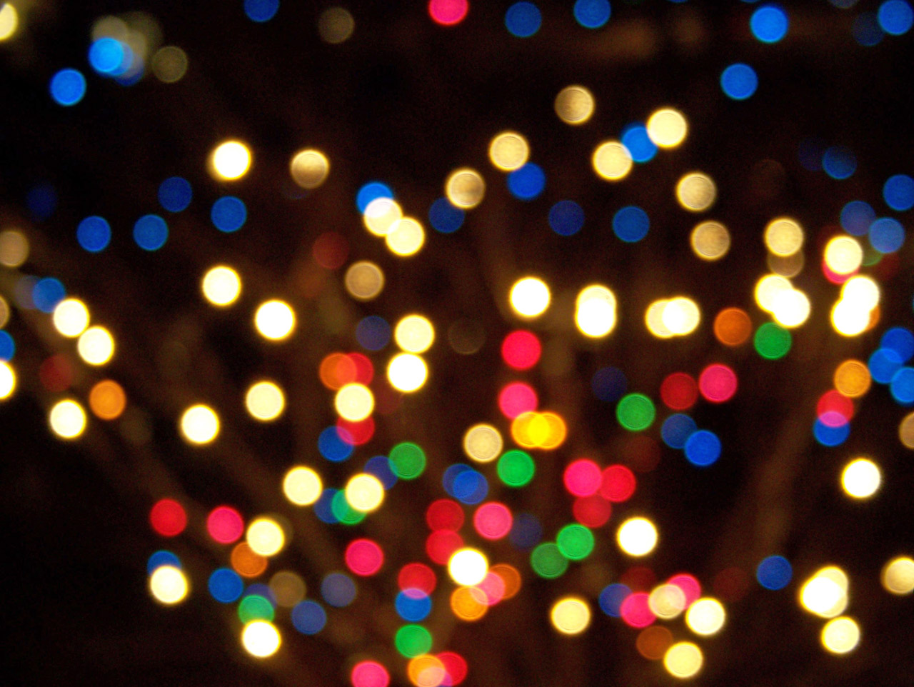 christmas lights focus free photo