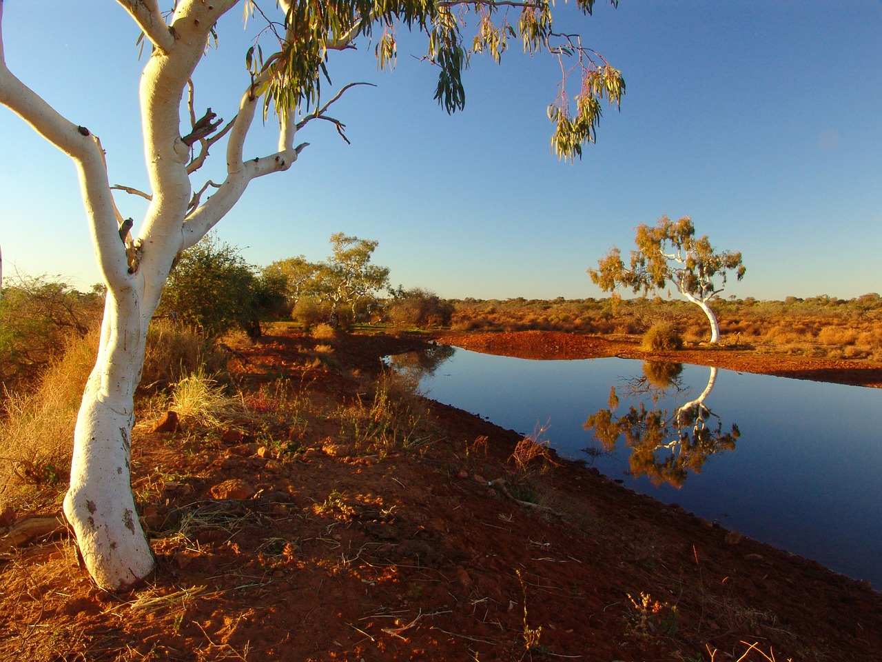 outback australia landscape free photo